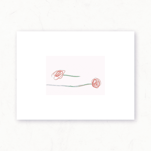 2 roses